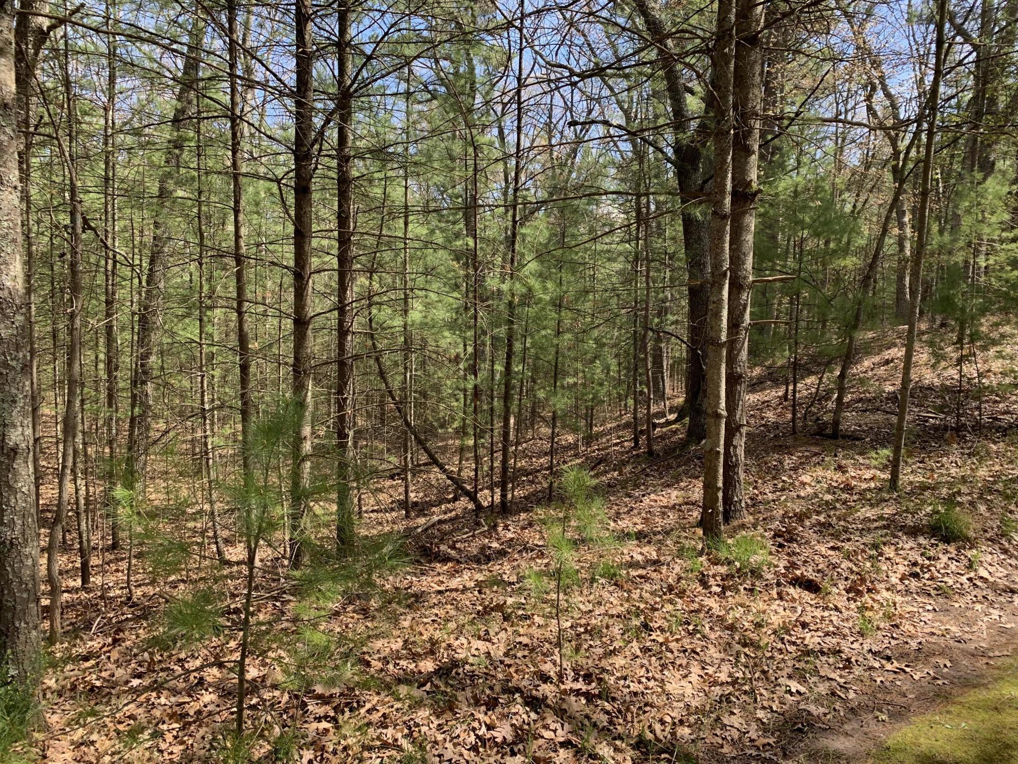 Lenox Avenue Pentwater, MI 49449 - Photo 1 of 4 Lennox 1