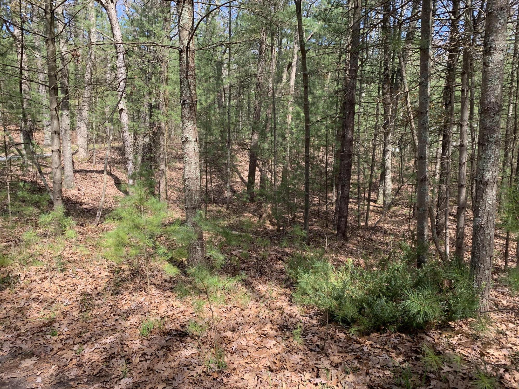 Lenox Avenue Pentwater, MI 49449 - Photo 2 of 4 Lennox 2