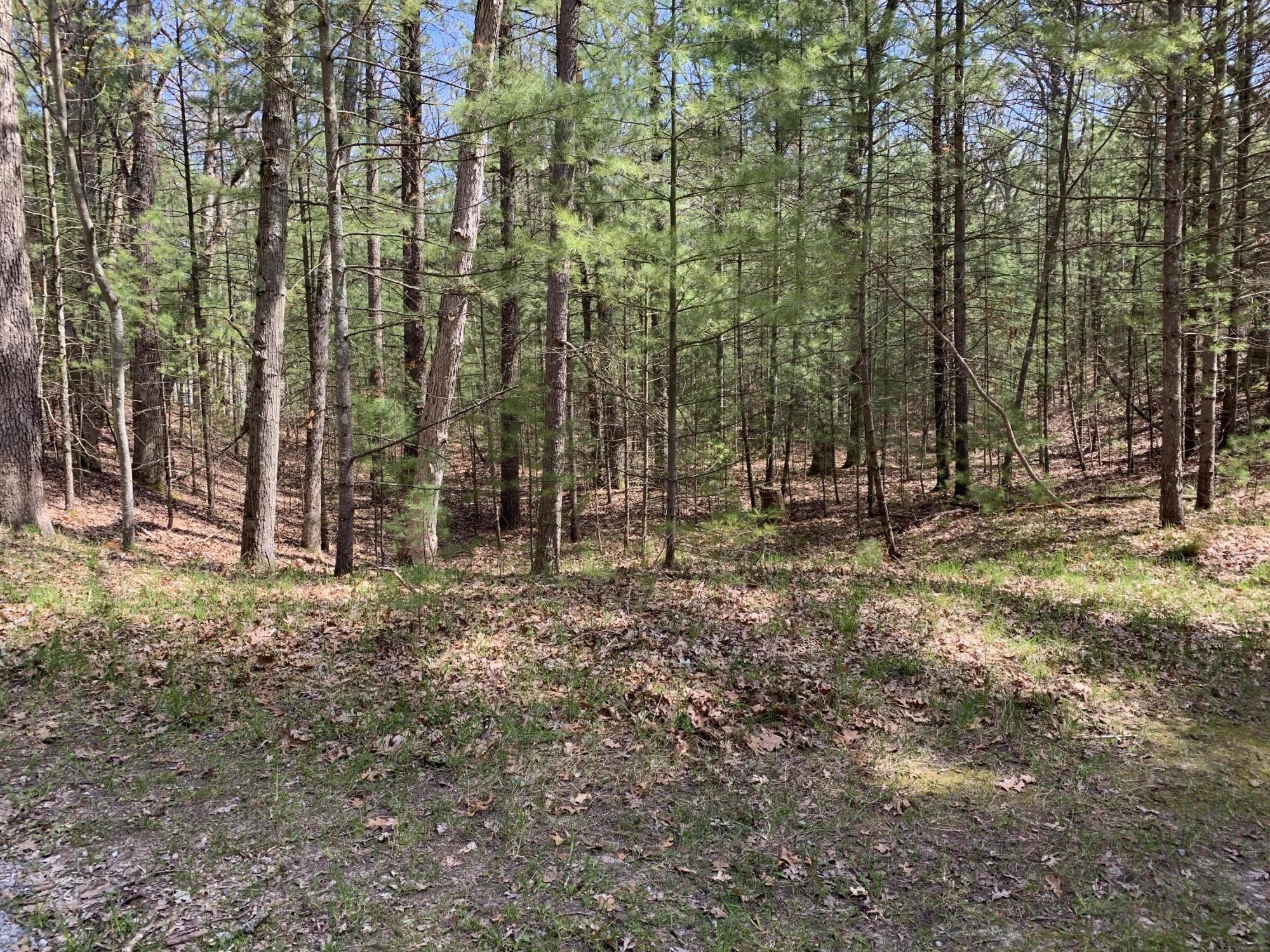 Lenox Avenue Pentwater, MI 49449 - Photo 3 of 4 Lennox 3