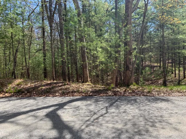 $59,900 | Lenox Avenue, Pentwater, MI 49449