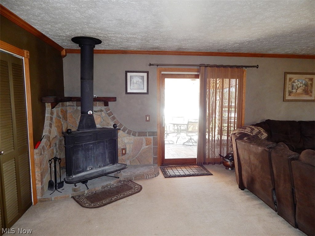 10316 Jones Road Litchfield, OH 44253 - Photo 9 of 35 Gallery Image 9