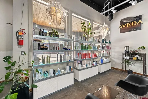 a room with lots of furniture and flower pot