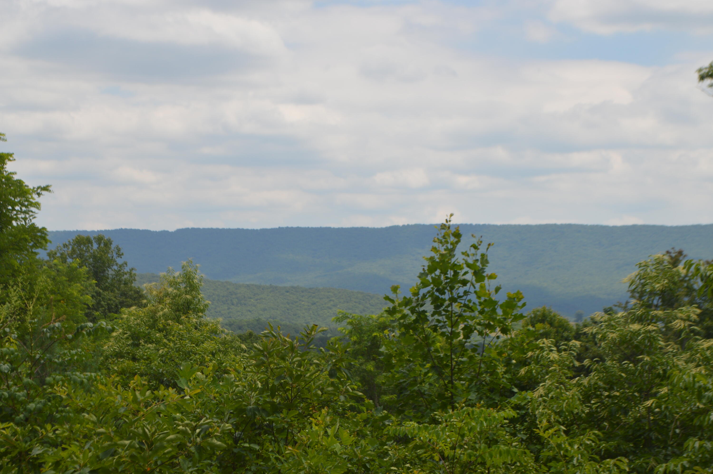 0 Old Waitville Road New Castle, VA 24127 - Photo 7 of 10 DSC_1402