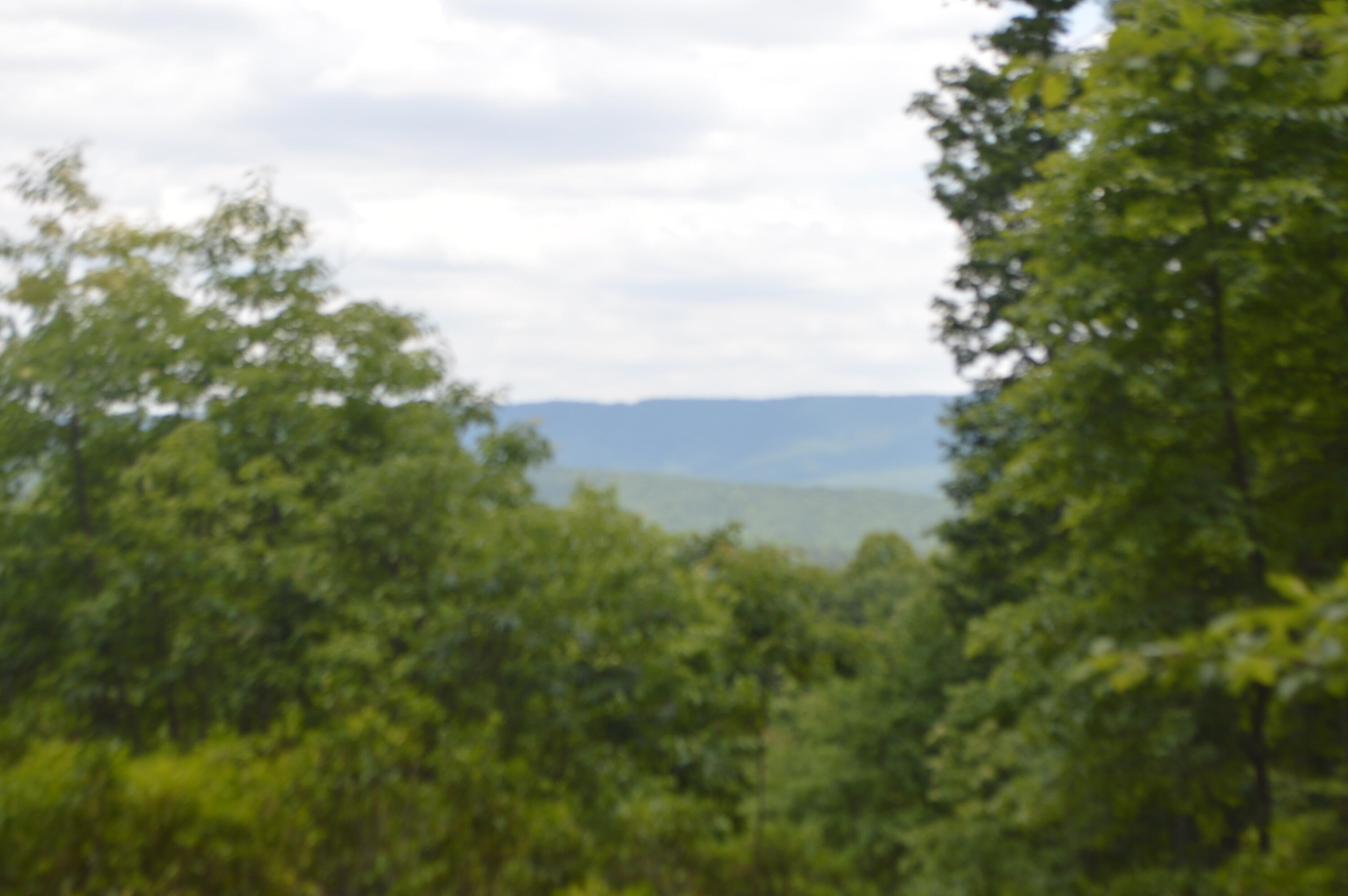 0 Old Waitville Road New Castle, VA 24127 - Photo 10 of 10 DSC_1407