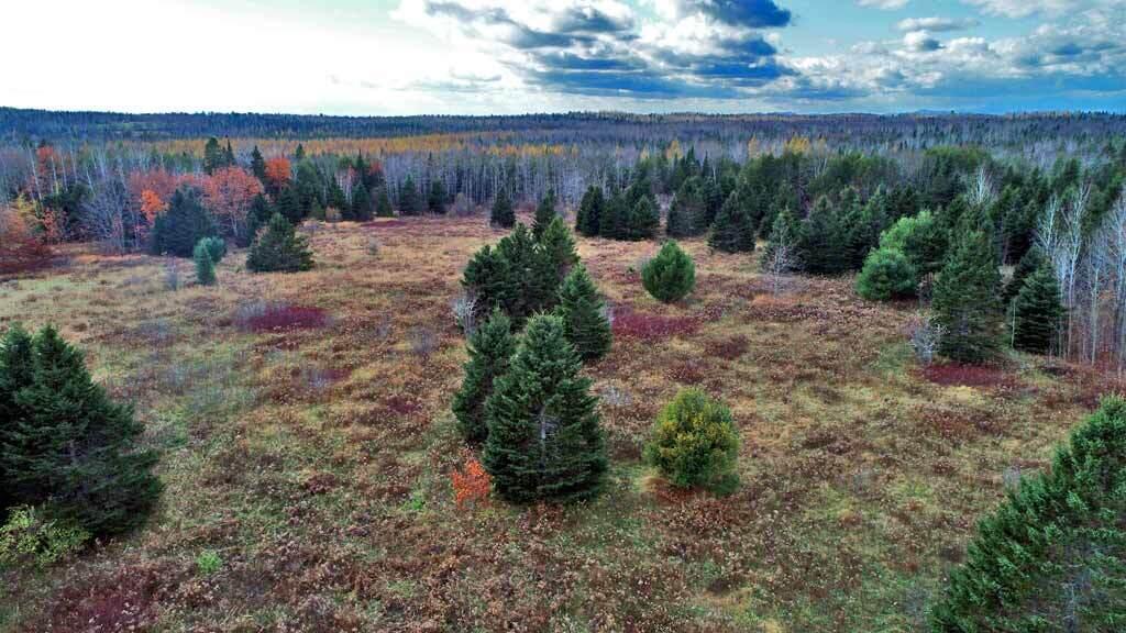 Lot 18 U.S. Rte 2 Newport, ME 04953 - Photo 32 of 62