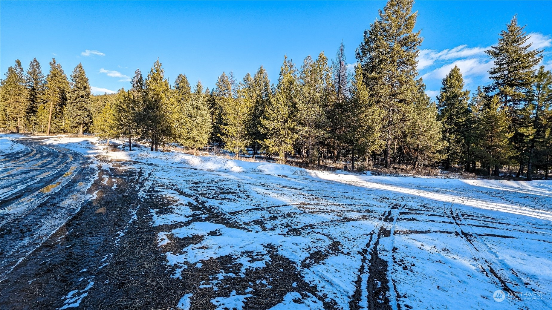 740 Cape Labelle Road Tonasket, WA 98855 - Photo 32 of 40 a view of a yard with trees in the background
