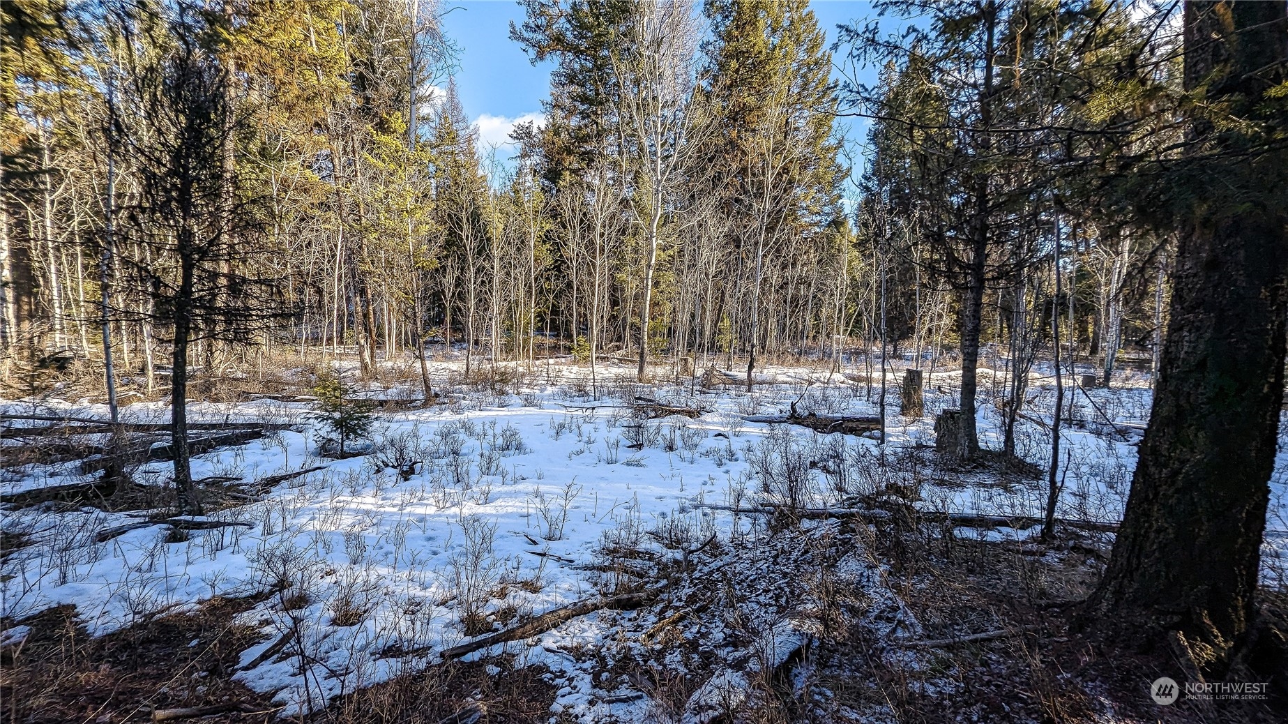 740 Cape Labelle Road Tonasket, WA 98855 - Photo 33 of 40 a view of outdoor space with lots of trees