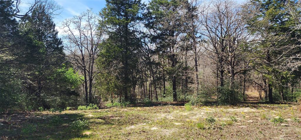 14612 County Road 1114 Athens, TX 75751 - Photo 1 of 40 a view of a yard with trees