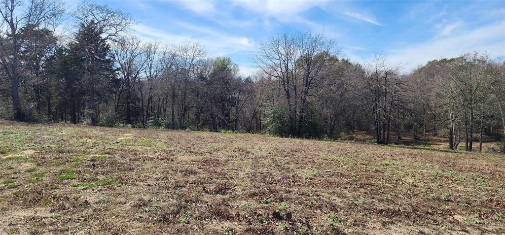 14612 County Road 1114 Athens, TX 75751 - Photo 11 of 40 a backyard of a house with trees