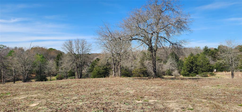 14612 County Road 1114 Athens, TX 75751 - Photo 12 of 40 a view of a covered with snow in the background