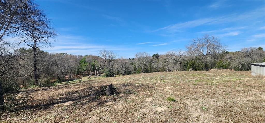 14612 County Road 1114 Athens, TX 75751 - Photo 14 of 40 a big yard with lots of green space