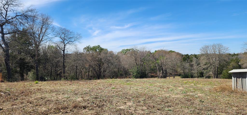14612 County Road 1114 Athens, TX 75751 - Photo 15 of 40 a view of a yard with a tree