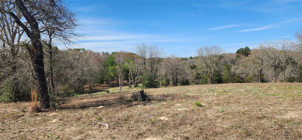 14612 County Road 1114 Athens, TX 75751 - Photo 16 of 40 a view of outdoor space with green field and trees