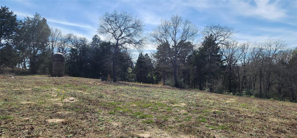 14612 County Road 1114 Athens, TX 75751 - Photo 18 of 40