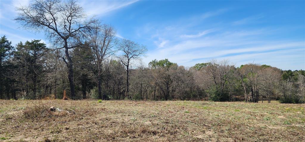 14612 County Road 1114 Athens, TX 75751 - Photo 19 of 40 a view of large yard with large trees