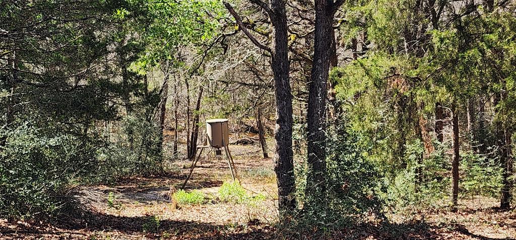 14612 County Road 1114 Athens, TX 75751 - Photo 2 of 40 a backyard of a house with lots of green space