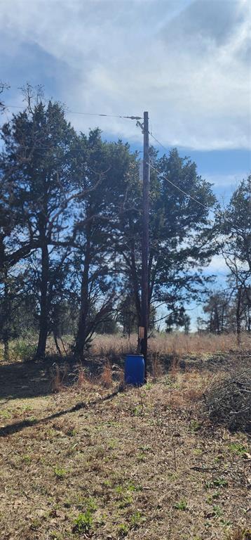14612 County Road 1114 Athens, TX 75751 - Photo 21 of 40 a view of a dry yard