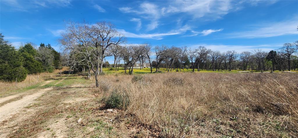 14612 County Road 1114 Athens, TX 75751 - Photo 25 of 40 a view of a yard with an outdoor space