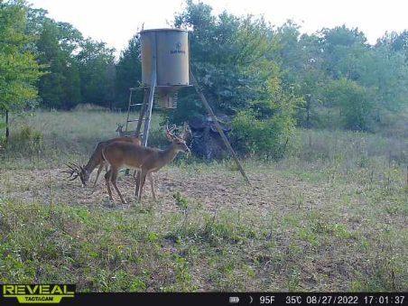 14612 County Road 1114 Athens, TX 75751 - Photo 34 of 40