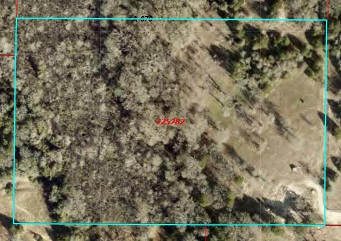 14612 County Road 1114 Athens, TX 75751 - Photo 36 of 40 a view of a yard