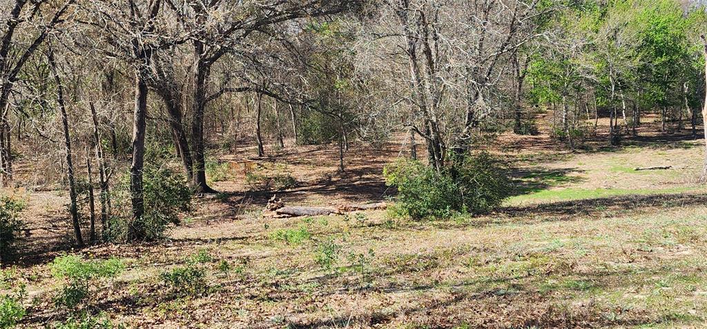 14612 County Road 1114 Athens, TX 75751 - Photo 5 of 40 a view of a yard with large trees