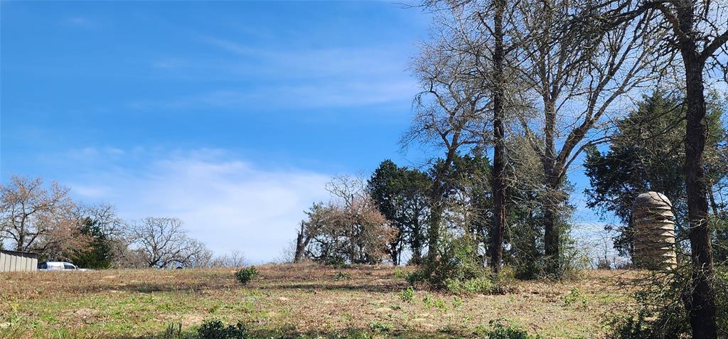 14612 County Road 1114 Athens, TX 75751 - Photo 8 of 40 a view of a yard with large trees