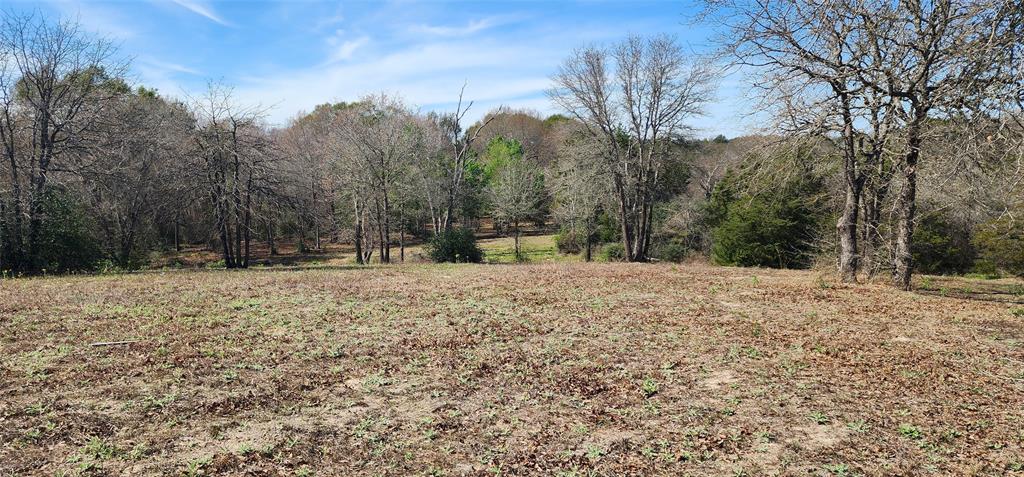 14612 County Road 1114 Athens, TX 75751 - Photo 9 of 40 a view of outdoor space with trees