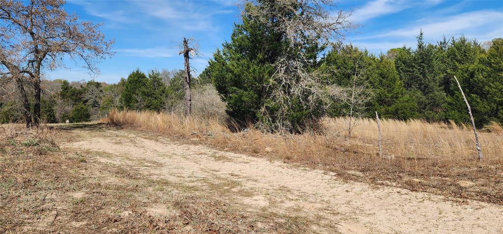 14612 County Road 1114 Athens, TX 75751 - Photo 10 of 40 a view of a yard with a tree