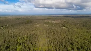 $41,555 | 2842 Road 2 (ao) Mountain View, Mountain View, HI 96771