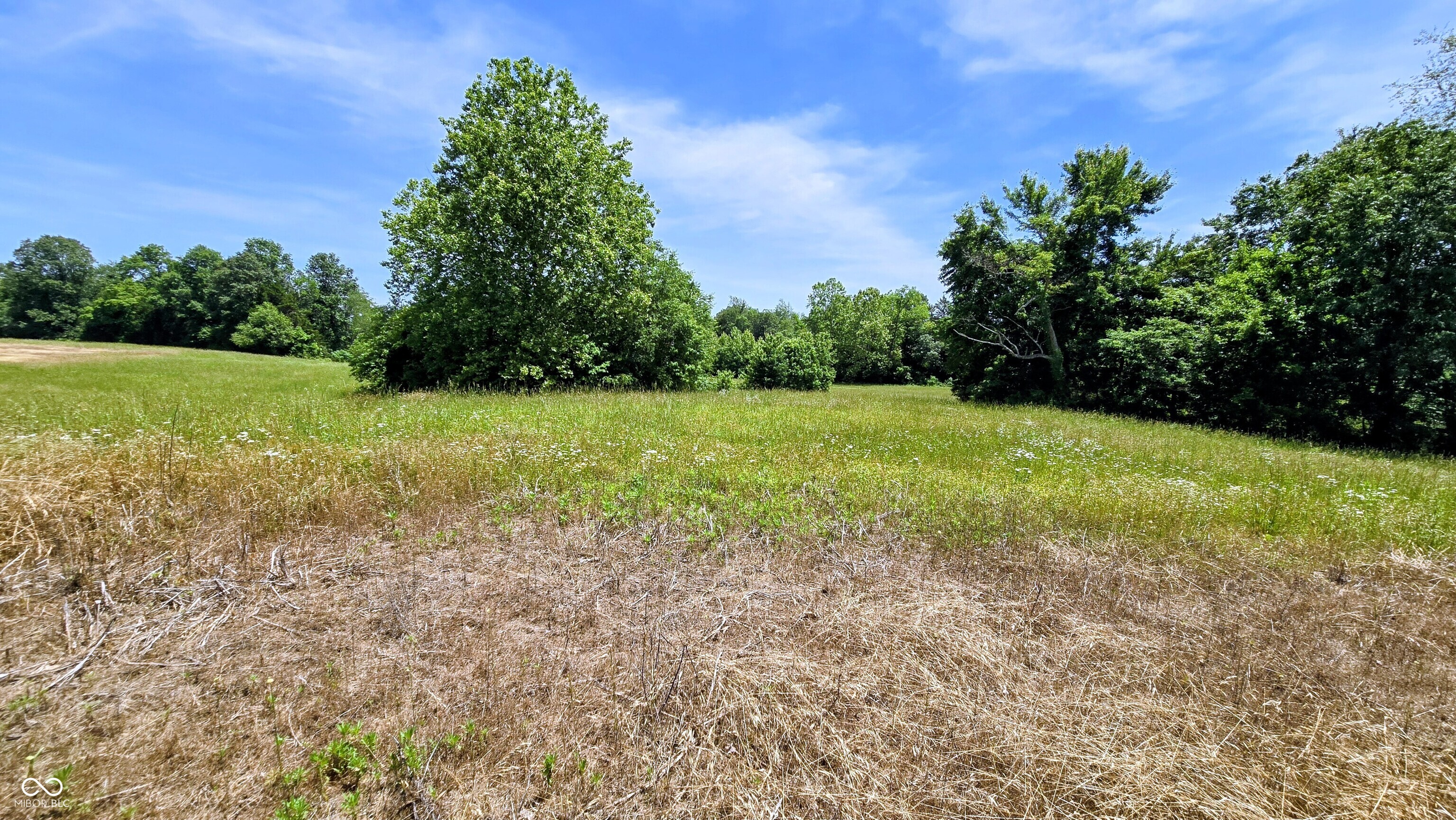 19205 Michigan Road Marysville, IN 47141 - Photo 48 of 91