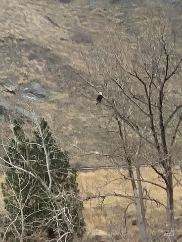 $460,000 | 302 Old Pollock Road, Riggins, ID 83549