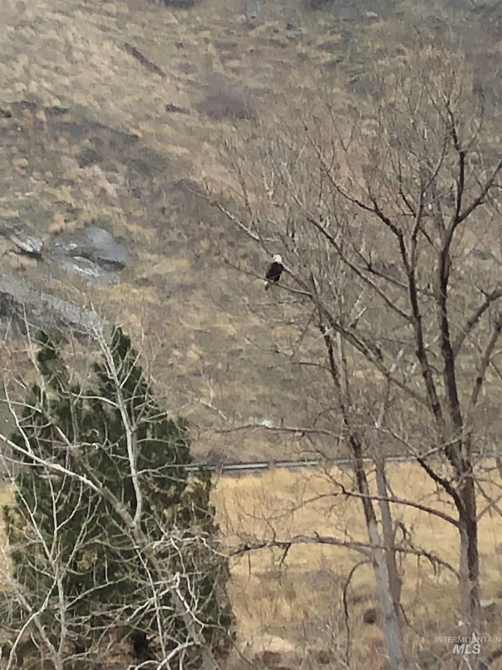 302 Old Pollock Road Riggins, ID 83549 - Photo 15 of 25