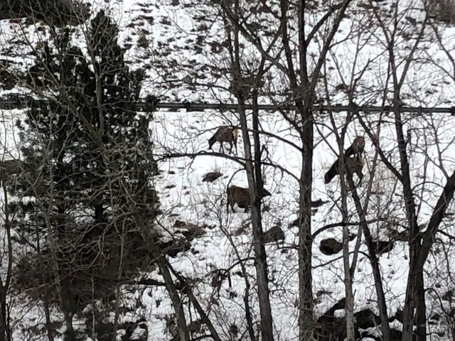 $460,000 | 302 Old Pollock Road, Riggins, ID 83549