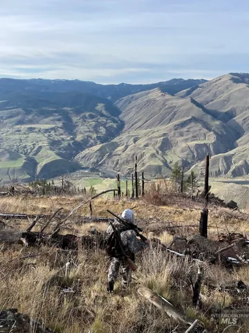 $460,000 | 302 Old Pollock Road, Riggins, ID 83549