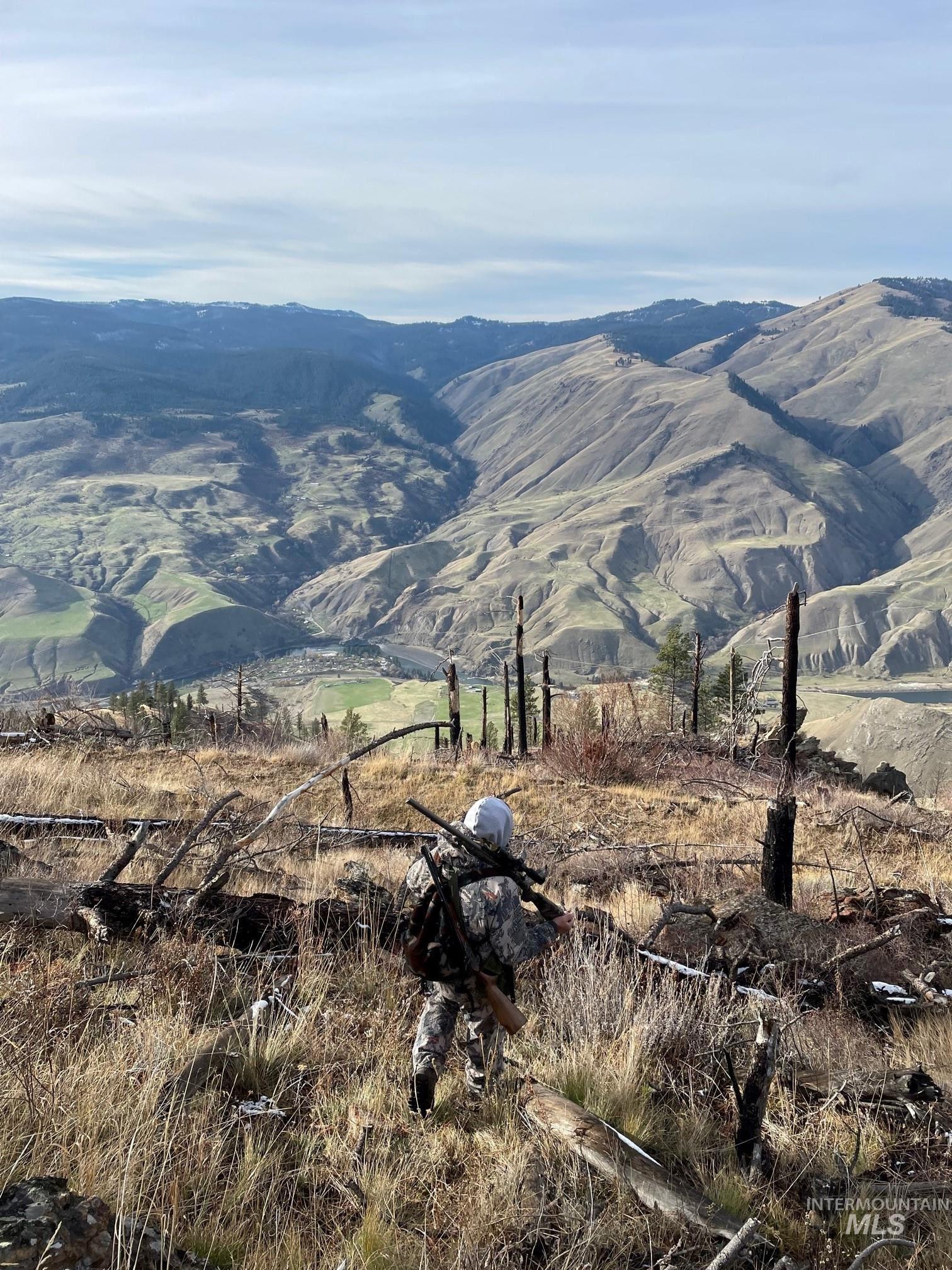 302 Old Pollock Road Riggins, ID 83549 - Photo 17 of 25