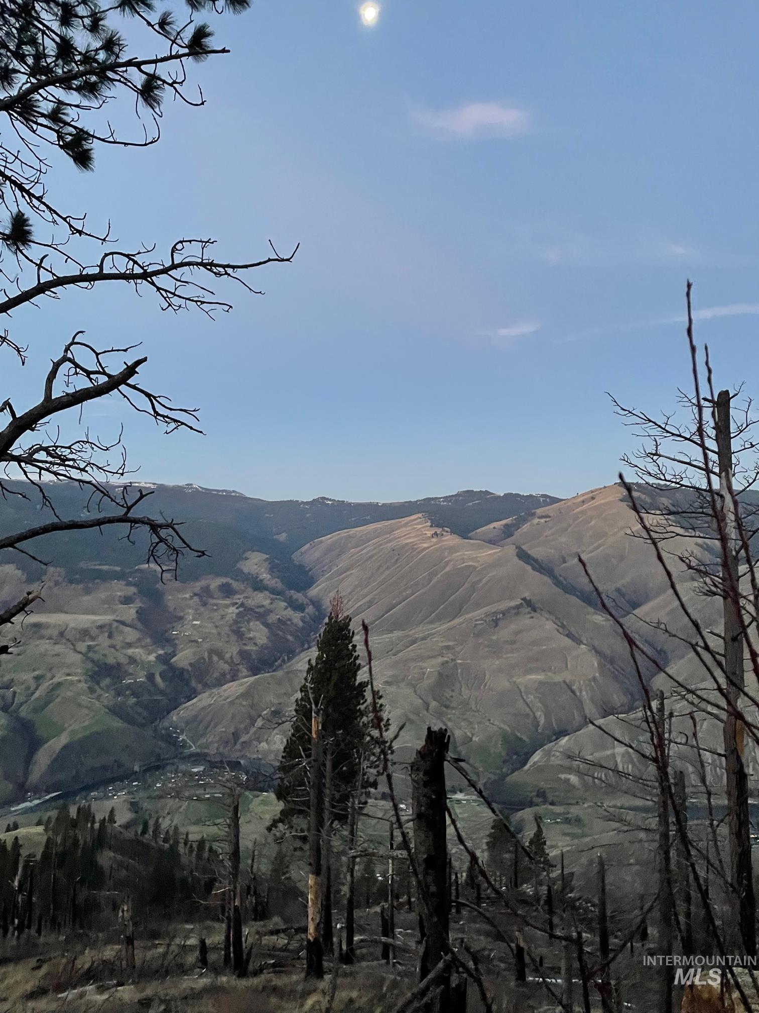 302 Old Pollock Road Riggins, ID 83549 - Photo 19 of 25