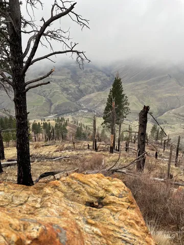 $460,000 | 302 Old Pollock Road, Riggins, ID 83549