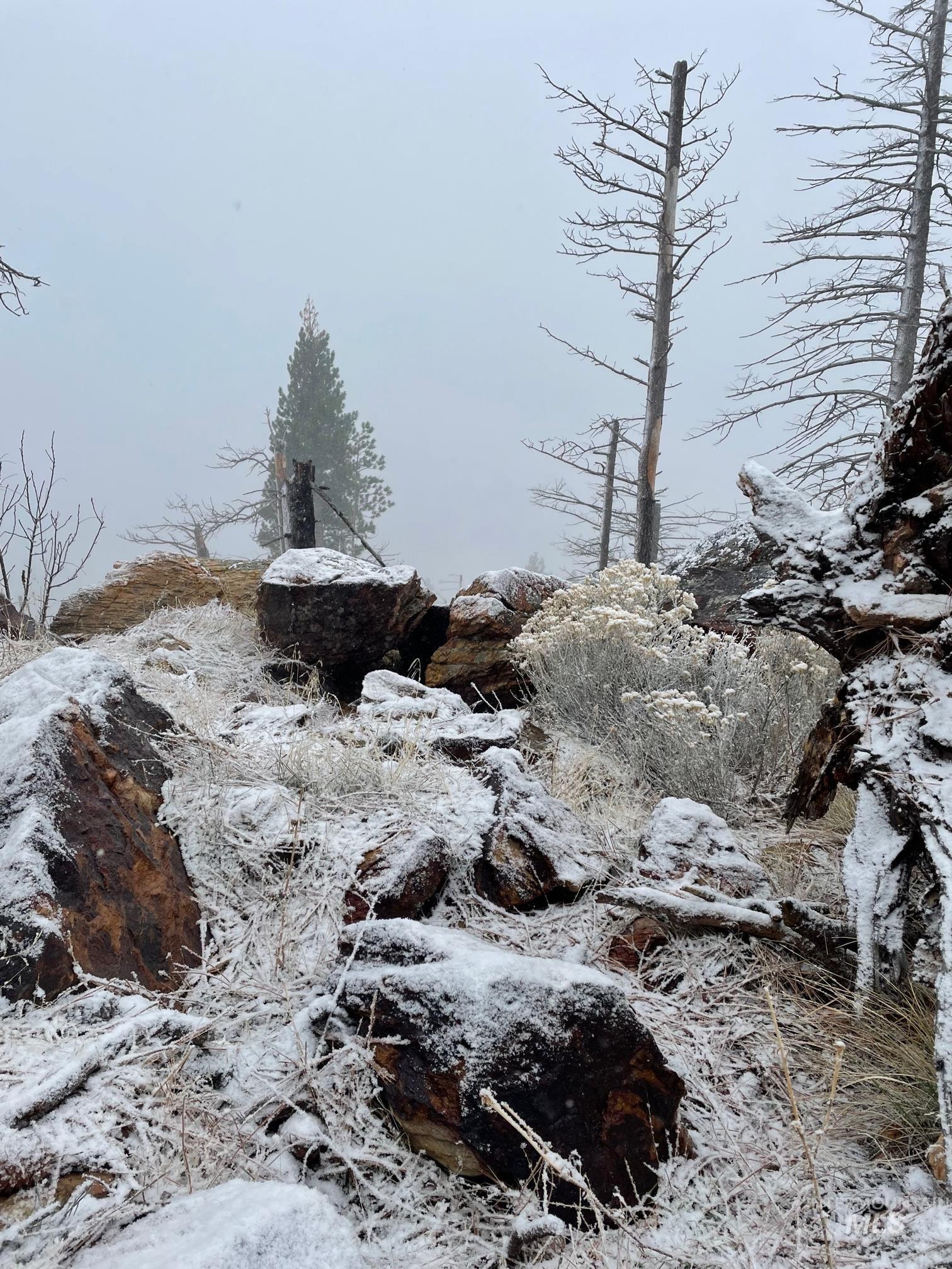 302 Old Pollock Road Riggins, ID 83549 - Photo 22 of 25