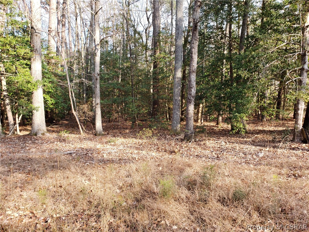 0 Railway Road Port Haywood, VA 23138 - Photo 2 of 6