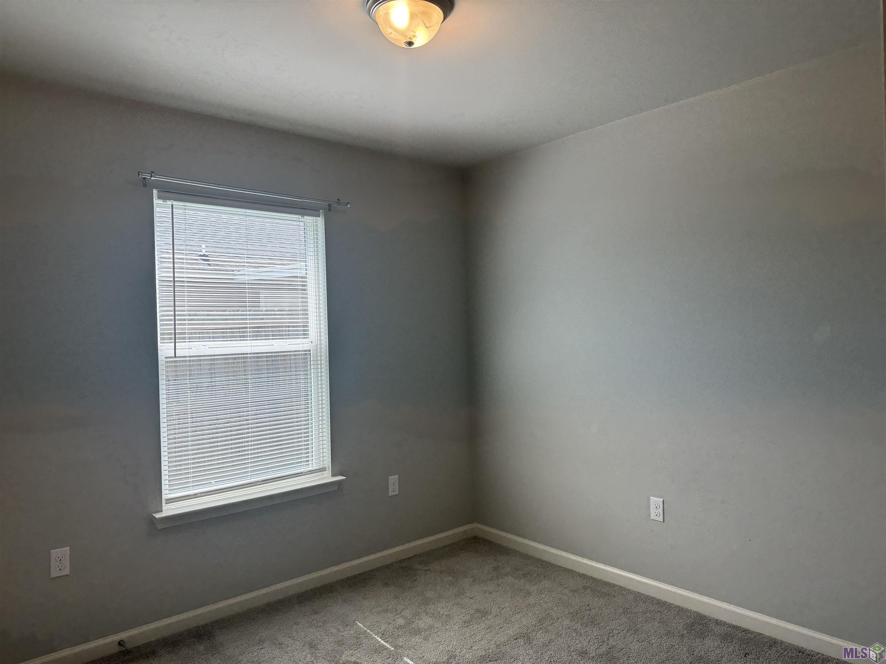 1501 Ravier Lane Sunshine, LA 70780 - Photo 9 of 15
