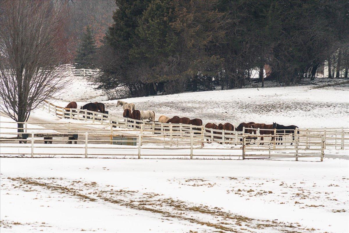 309 Arabian Drive Jordan, MN 55352 - Photo 62 of 71