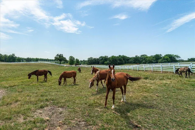 $525,000 | 309 Arabian Drive, Jordan, MN 55352