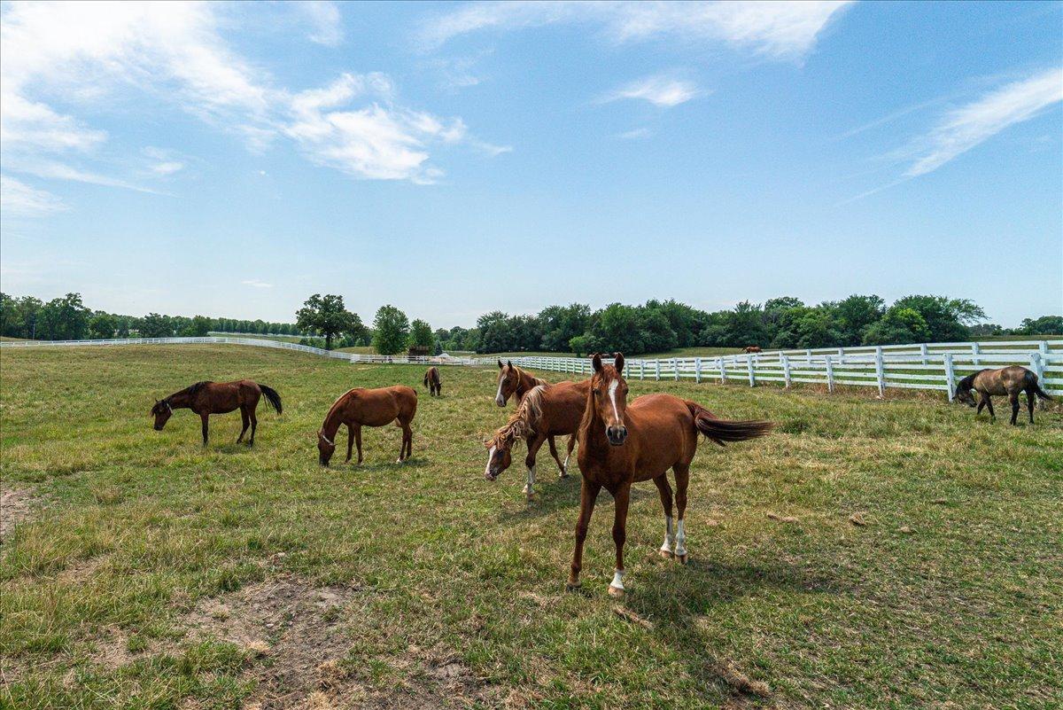 309 Arabian Drive Jordan, MN 55352 - Photo 63 of 71