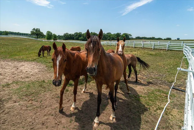 $525,000 | 309 Arabian Drive, Jordan, MN 55352