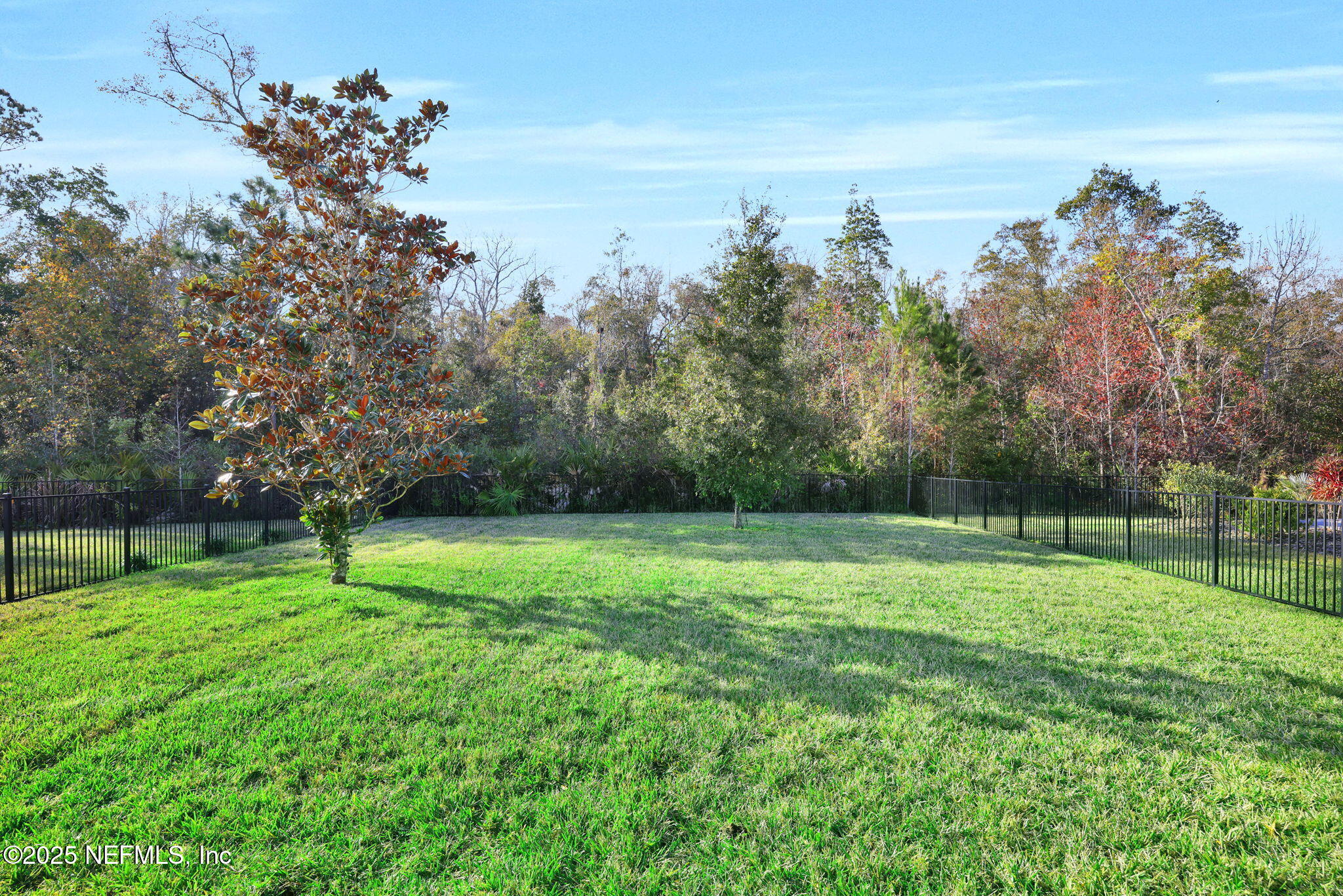 334 Clifton Bay Loop St. Johns, FL 32259 - Photo 36 of 60 a view of outdoor space and yard