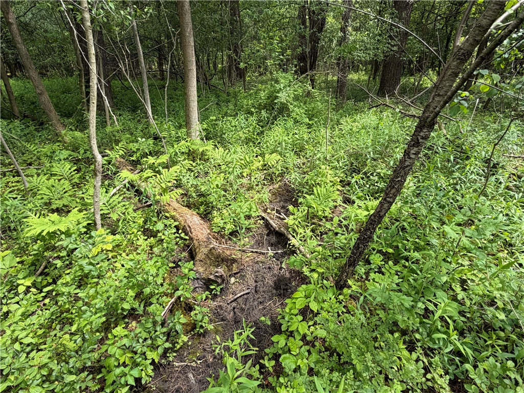 Vl Reed Road Dansville, NY 14437 - Photo 23 of 29