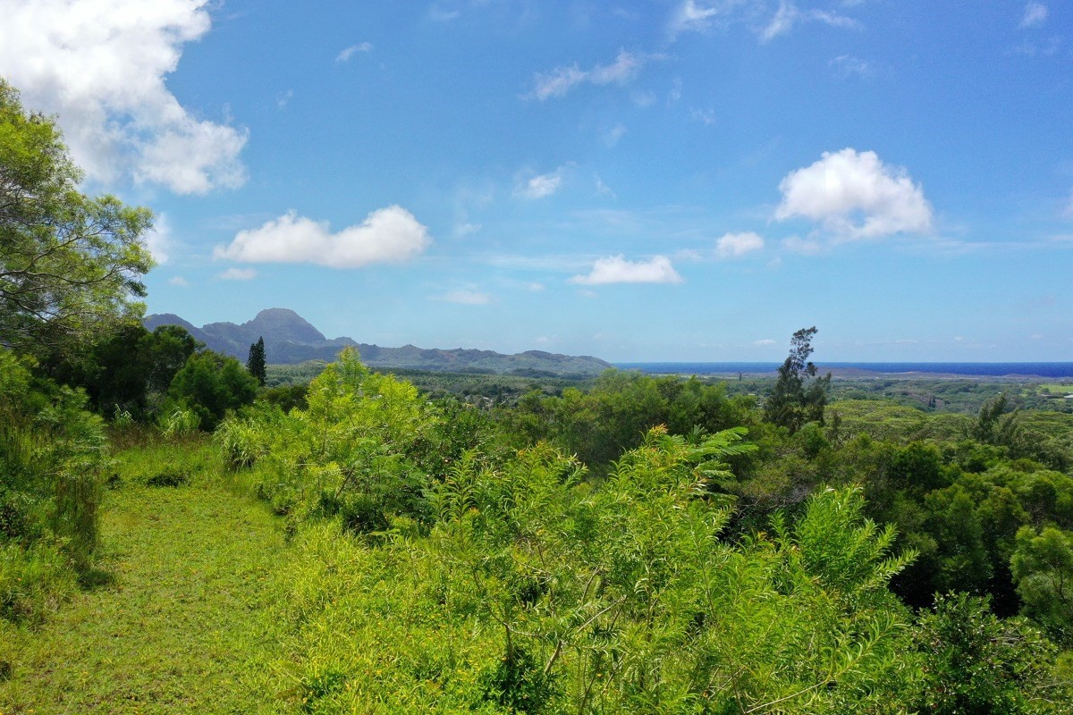 4560 R Uha Road, Unit 3 Lawai, HI 96765 - Photo 1 of 2 Gallery Image 1
