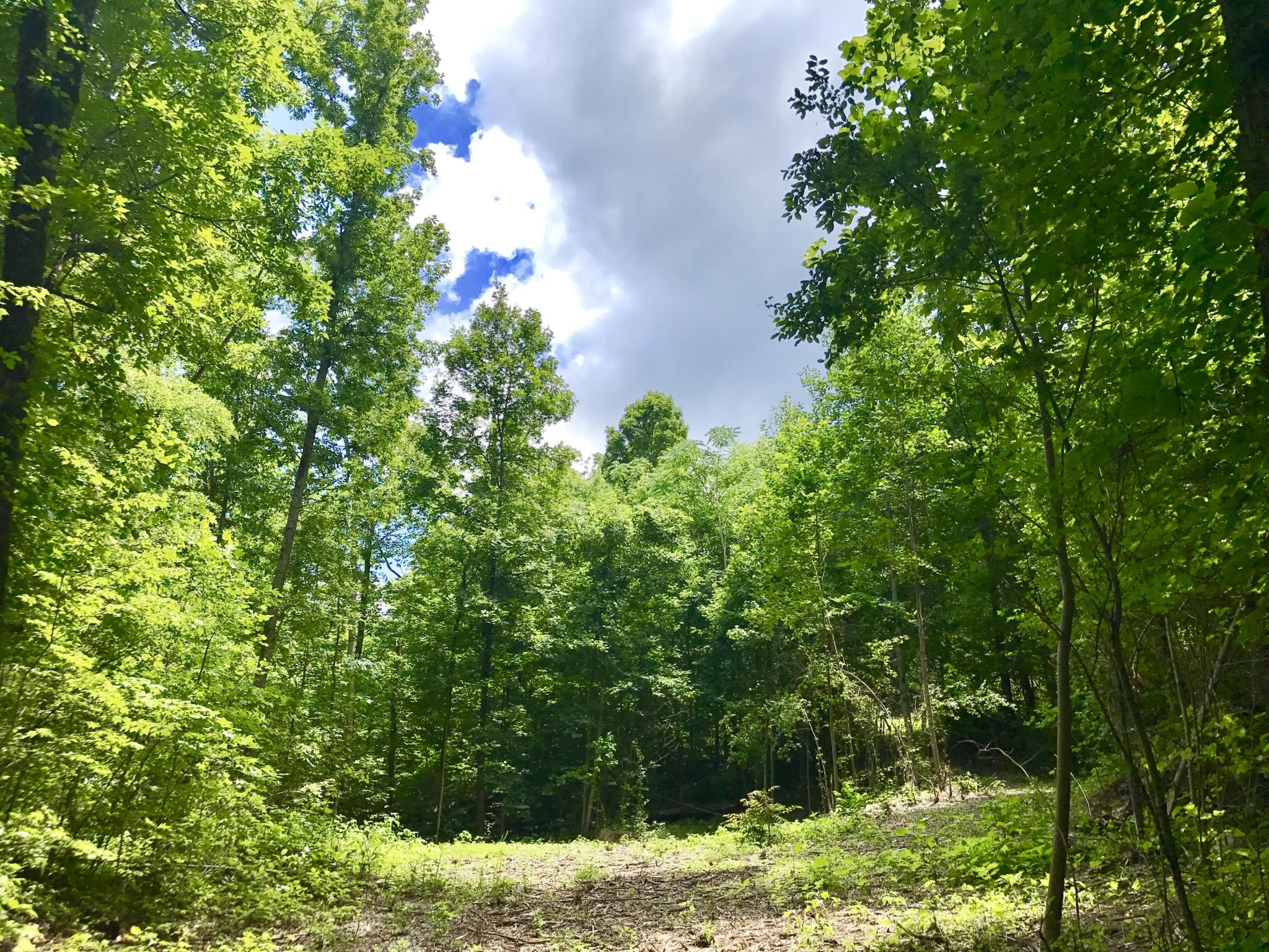 1 Savage Point Road Dunlap, TN 37327 - Photo 2 of 11 Gallery Image 2
