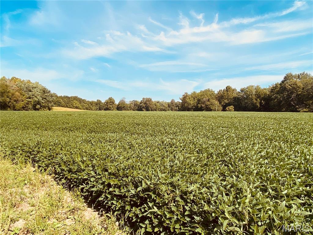 0 Mm Road Red Bud, IL 62278 - Photo 22 of 26 Gallery Image 22