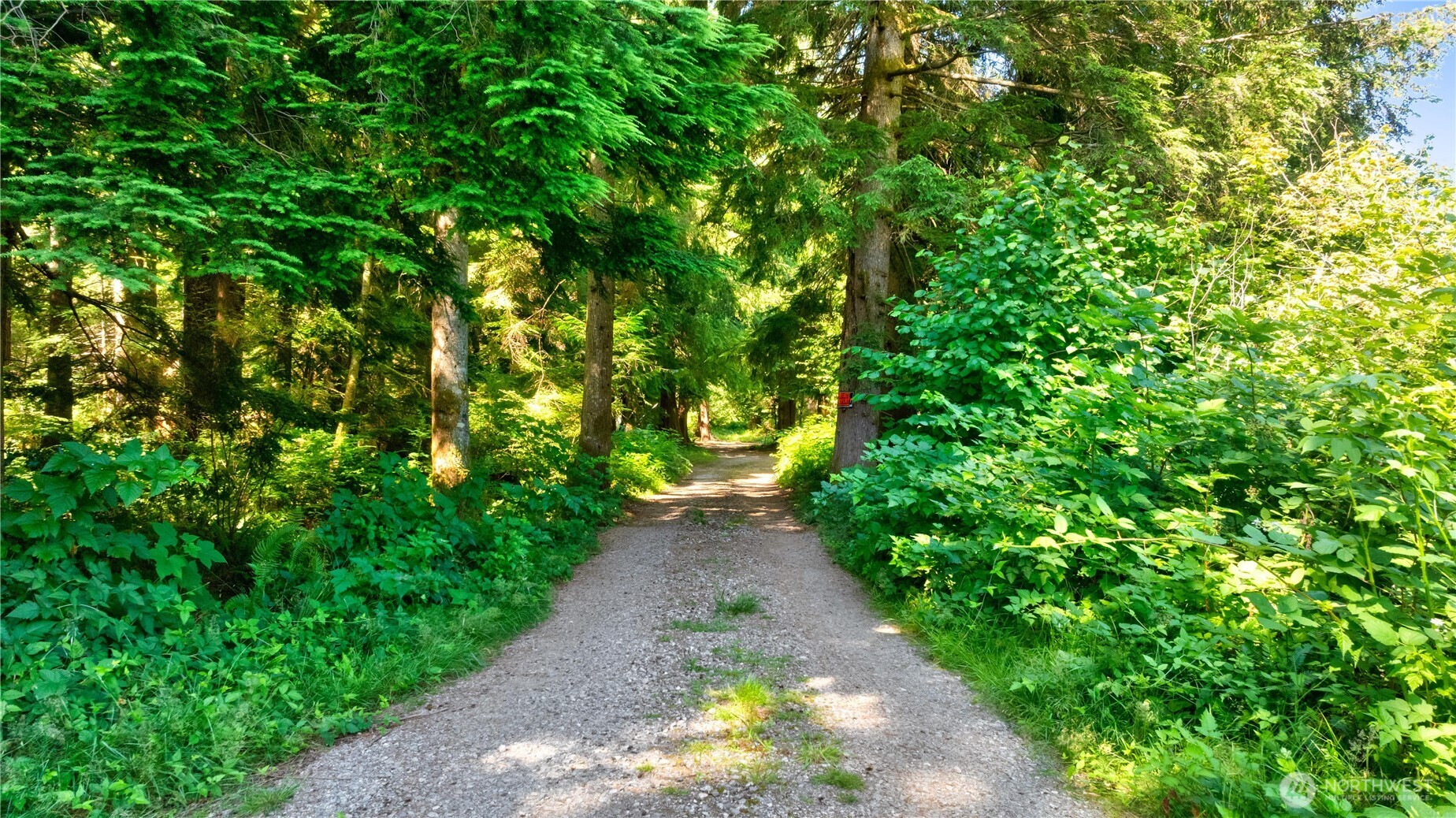 15528 May Creek Road Gold Bar, WA 98251 - Photo 4 of 11